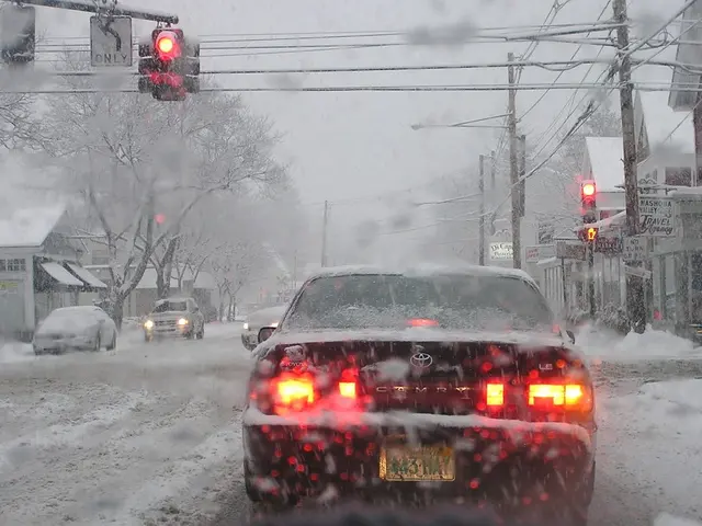 There are few vehicles on the road and there are trees and houses on either sides of it which are...