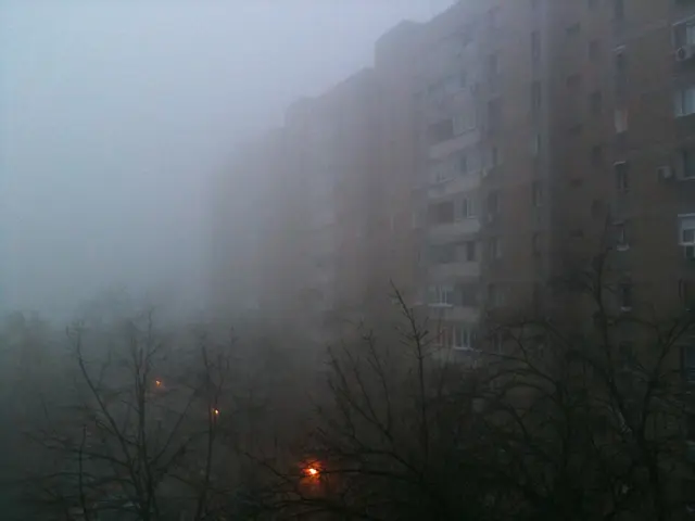 The image shows a foggy city street with tall buildings in the background, illuminated by street...