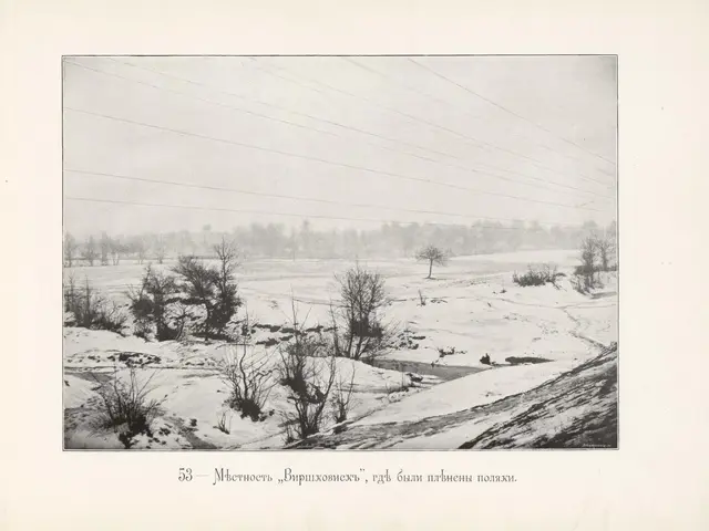 The image shows a black and white photo of a snowy field with trees, plants, and wires in the...