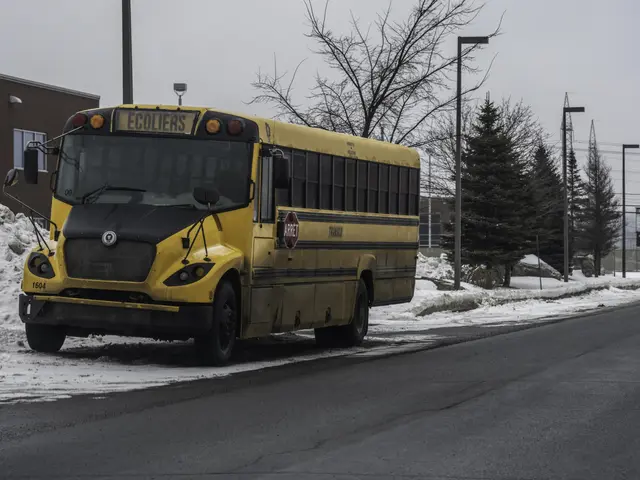 The image shows a yellow school bus parked on the side of the road, surrounded by snow on both...