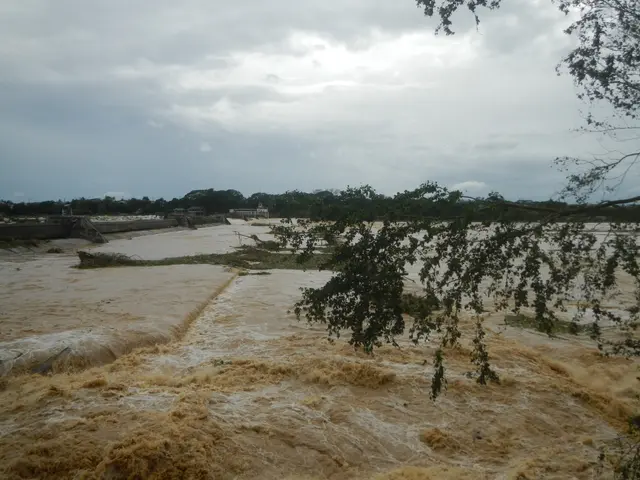 The image shows a flooded river with trees in the foreground and a cloudy sky in the background....