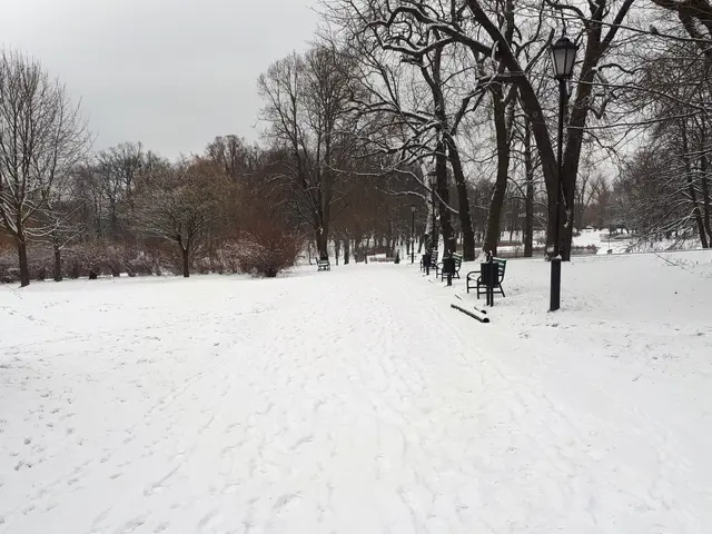 The image shows a snow covered park with benches and trees in the background. There are street...