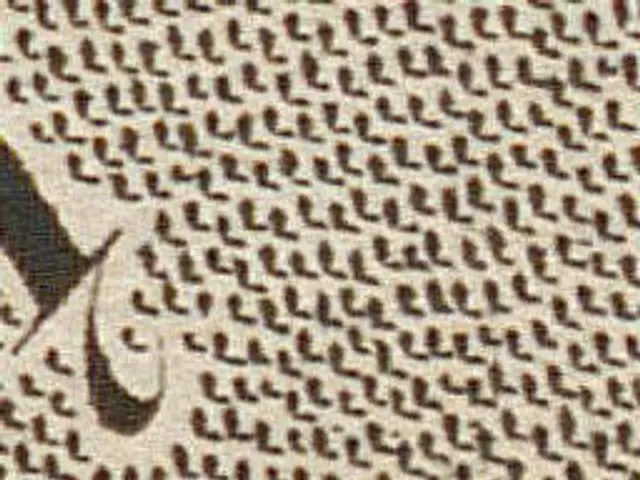 The image shows a close up of a piece of paper with a black and white pattern on it, which appears...