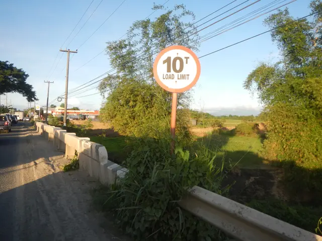 The image shows a road with vehicles driving on it, a sign on the side of the road that reads "10t...