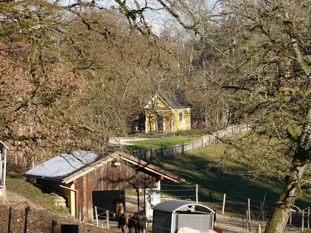 The image shows a picturesque scene of cows grazing in a field next to a house, surrounded by a...