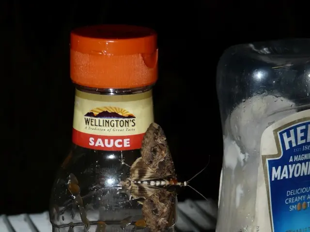 The image shows a bottle of sweet chilli sauce and a jar of mayonnaise placed on a grill. The...