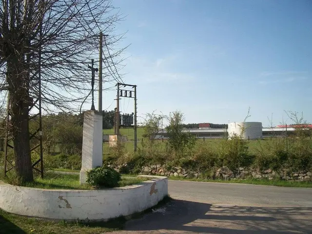 The image shows a road with a tree in the middle of it, surrounded by grass, plants, trees, poles,...