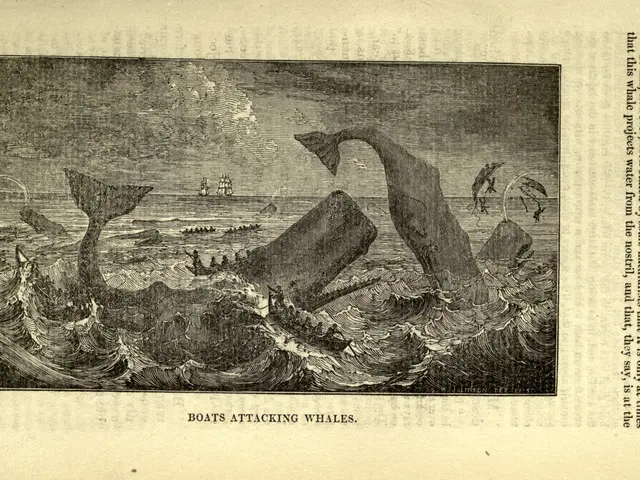 The image shows an old book with a drawing of a whale in the ocean, surrounded by boats and people....