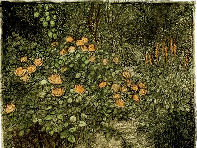 The image shows a black cat walking down a path in the woods, surrounded by trees and plants with...