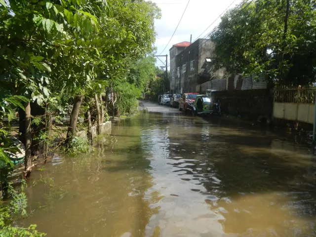 The image shows a flooded street with cars parked on the side of it, surrounded by trees on both...