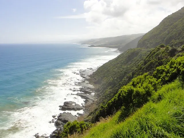 The image shows a view of the ocean from the top of a hill, with the water on the left side, grass...