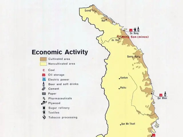 The image shows a poster of a map of Vietnam with the words "Economic Activity" written across the...