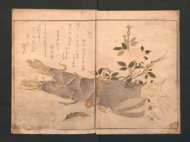 The image shows an open book with a drawing of a plant and a dragon on it, set against a black...