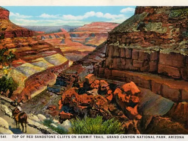 The image shows a poster of the Grand Canyon National Park in Arizona, featuring the top of red...