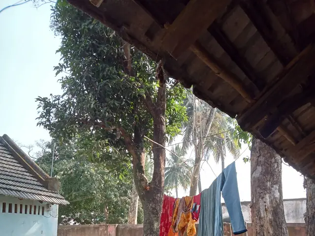 The image shows a house with a roof, a bicycle parked in front of it, a bucket on the ground, some...