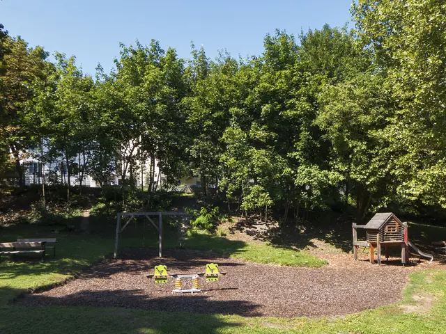 The image shows a park with a playground in the middle of it, surrounded by lush green grass and...