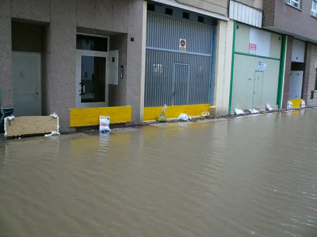 The image shows a flooded street in front of a building with windows, doors, shutters, boards with...