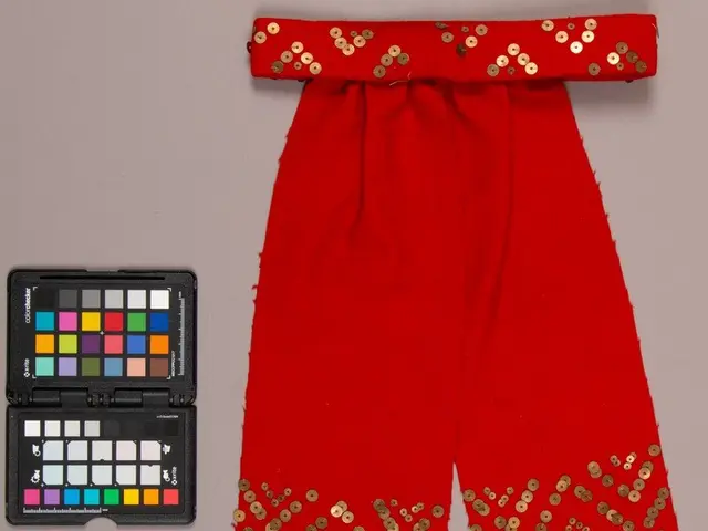 The image shows a pair of red pants with gold sequins adorning them, and a black box of eyeshadow...