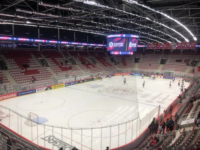 The image shows a hockey game being played in a large arena, with a group of people sitting on the...