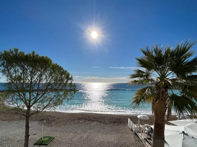 The image shows a beach with palm trees and umbrellas on the sand, surrounded by lush green grass...