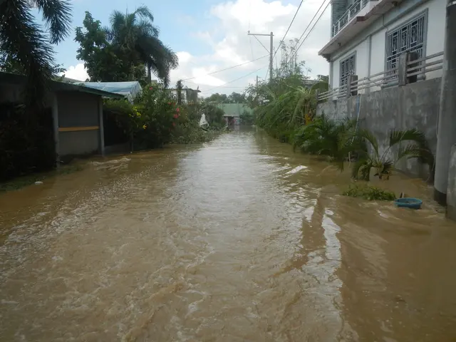 The image shows a flooded street in the Philippines, with water covering the road, plants and trees...