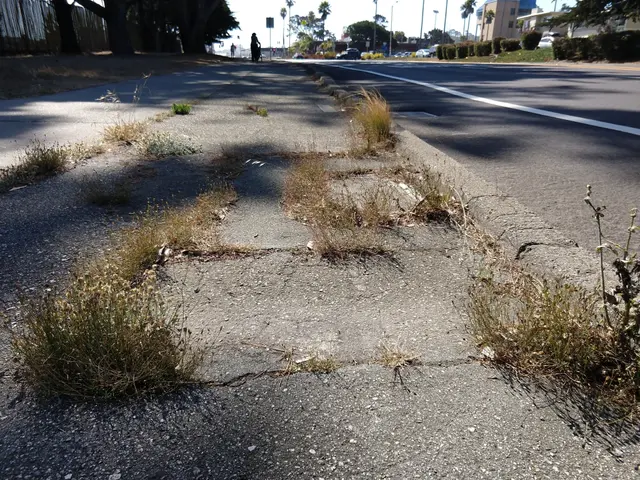 The image shows a pothole on the side of a road with grass growing out of it. There are vehicles...