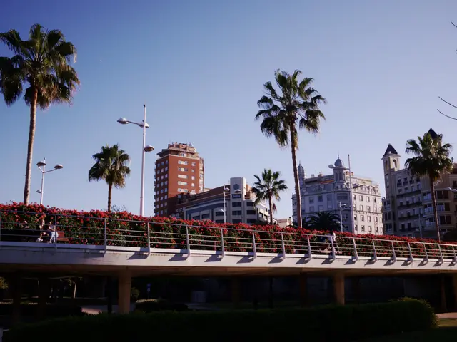 The image shows a bridge over a river with palm trees in the background, surrounded by buildings,...