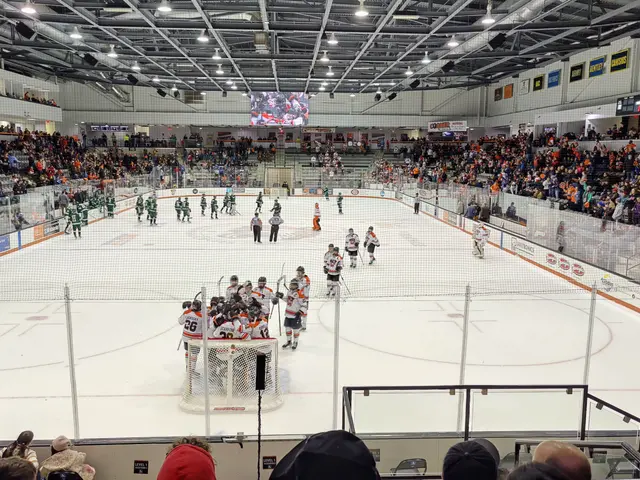 The image shows a hockey game being played in a large arena, with a group of people playing on the...