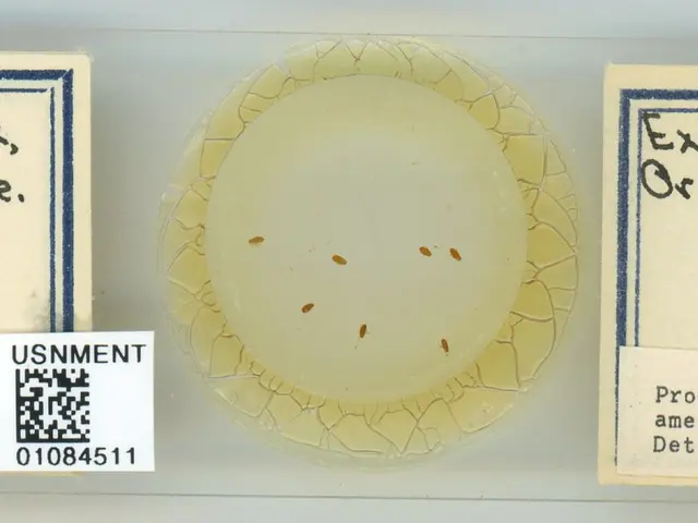 The image shows a plate with a label on it that reads "Greasy Creek, Philomath, Ore." The plate is...