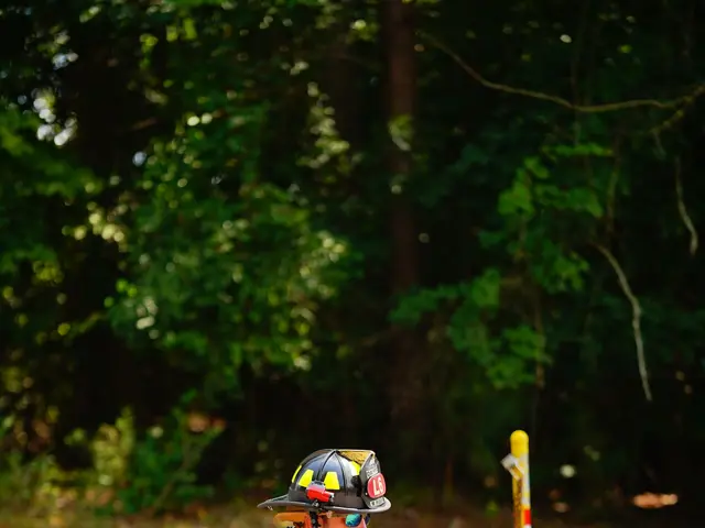 The image shows a firefighter kneeling down next to a hose on the side of a road. He is wearing a...