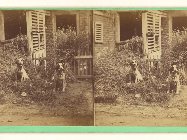 The image shows an old photo of a dog sitting in the grass in front of a house, surrounded by...
