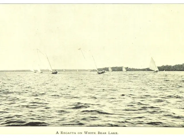 The image shows a regatta on White Bear Lake, with a few boats on the water and trees in the...