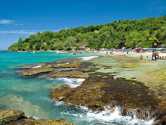 The image shows a beach filled with lots of people on top of a rocky shore, with umbrellas...