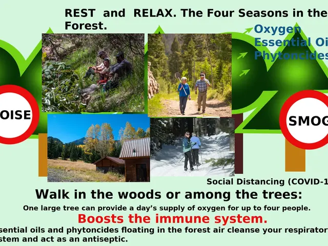 The image shows a poster with a few images of people walking in the woods, surrounded by trees and...