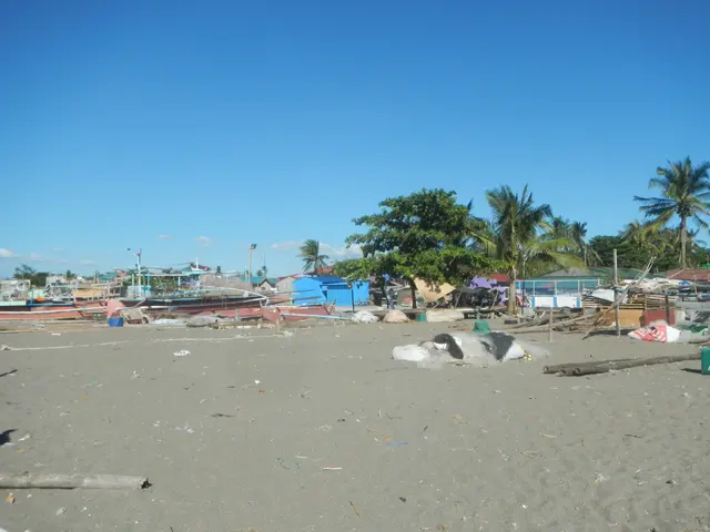 The image shows a beach with a lot of trash on it, including wooden sticks, plastic covers, and...