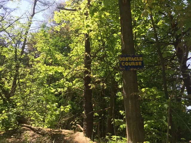 The image shows a trail in the woods with a sign on it that reads "Obstacle Course". The trail is...