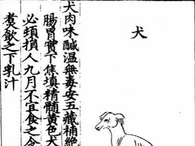 The image shows a drawing of a dog with Chinese writing on it. The dog is depicted in a realistic...