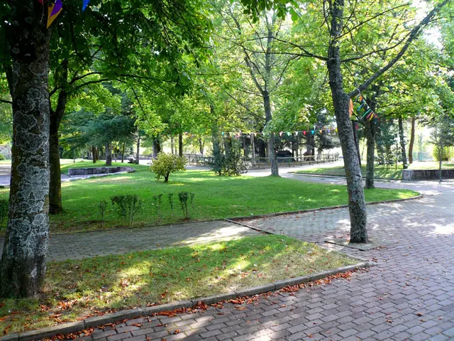 The image shows a park with lush green grass, plants, and trees, a walkway lined with colorful...