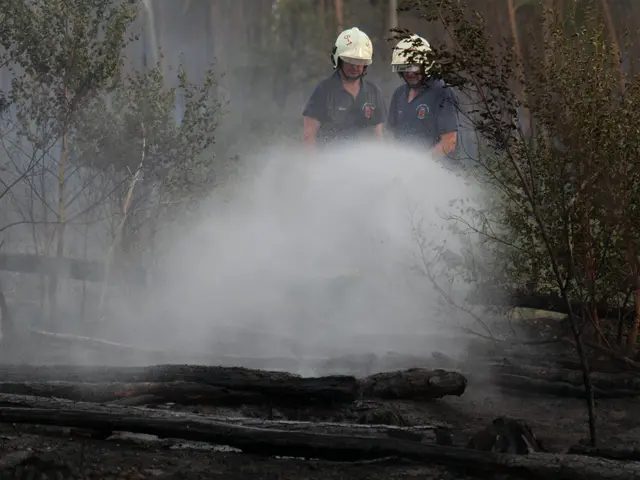 The image shows two firefighters wearing helmets and spraying water on a bushfire in the woods. The...