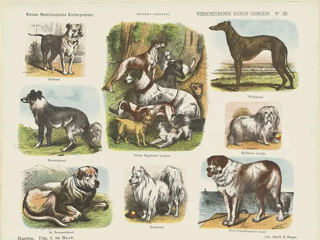 The image shows a book with a variety of dogs on it. The book is open, revealing a page with...