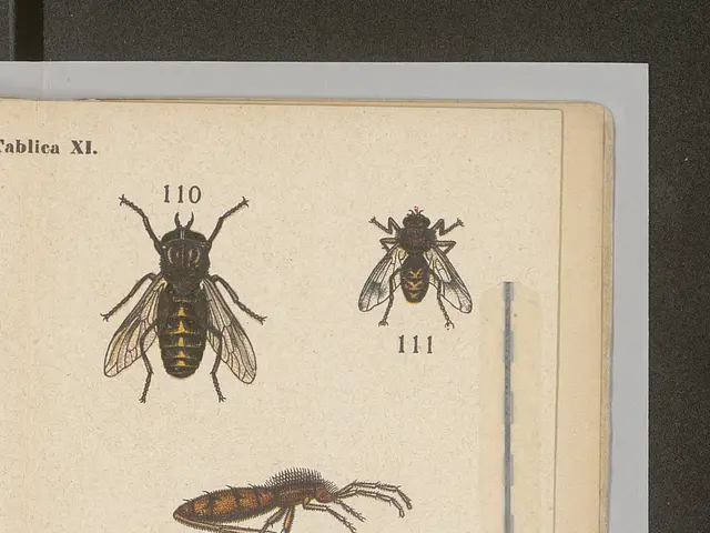 The image shows a book with a variety of flies on it, along with some text and numbers. The...