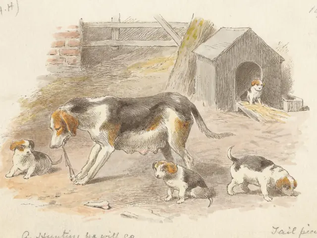 The image shows a drawing of a beagle and her puppies in front of a dog house, with a wall and a...