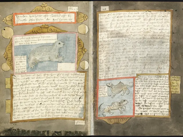 The image shows an open book with a drawing of a rabbit on it, surrounded by text and pictures of...