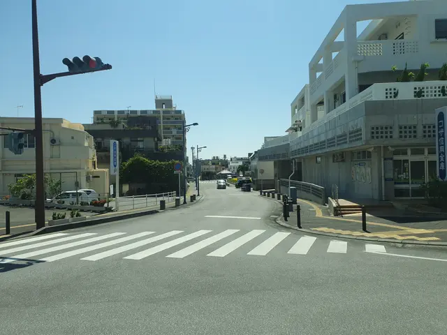 The image shows a city street with vehicles driving on it, a zebra crossing, poles, lights, boards,...