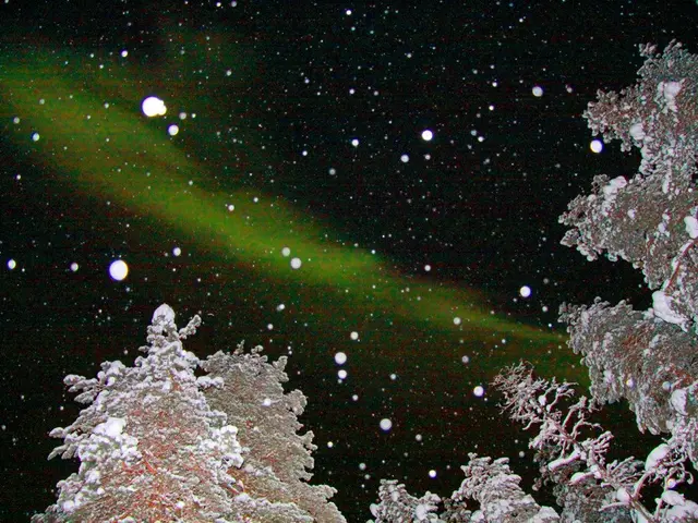 In this picture I can see there is a few trees and they are covered with snow and there is...