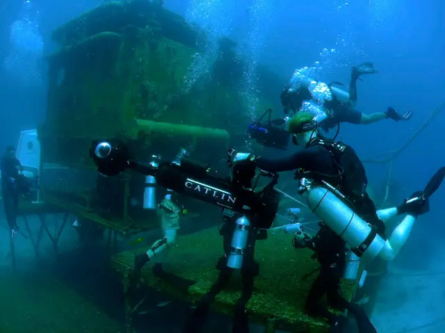 The image shows a group of scuba divers wearing oxygen cylinders and swimming in the ocean near a...