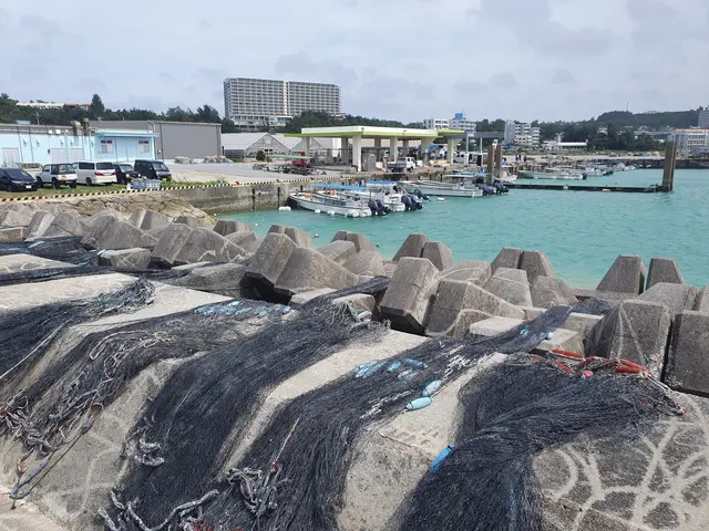 The image shows a large pile of fishing nets sitting on top of a pier next to a body of water, with...