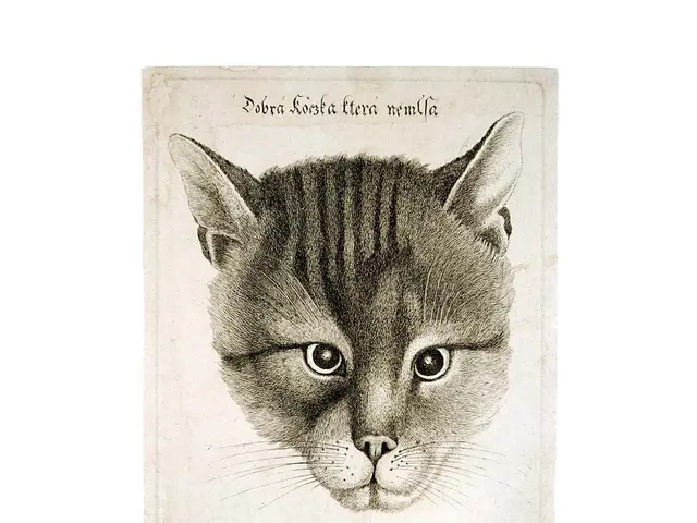 The image shows a black and white drawing of a cat's face on a white background, with the words...