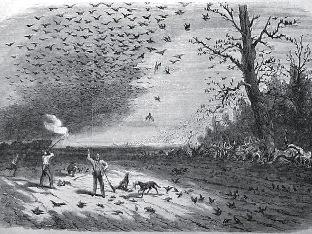 The image shows a black and white drawing of a group of people in a field with a fire in their...