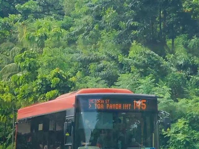 The image shows a purple and white bus driving down a street lined with trees. There are a few...